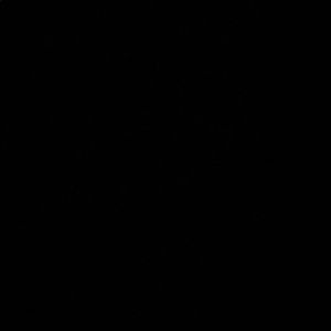 Meet your Posher, George